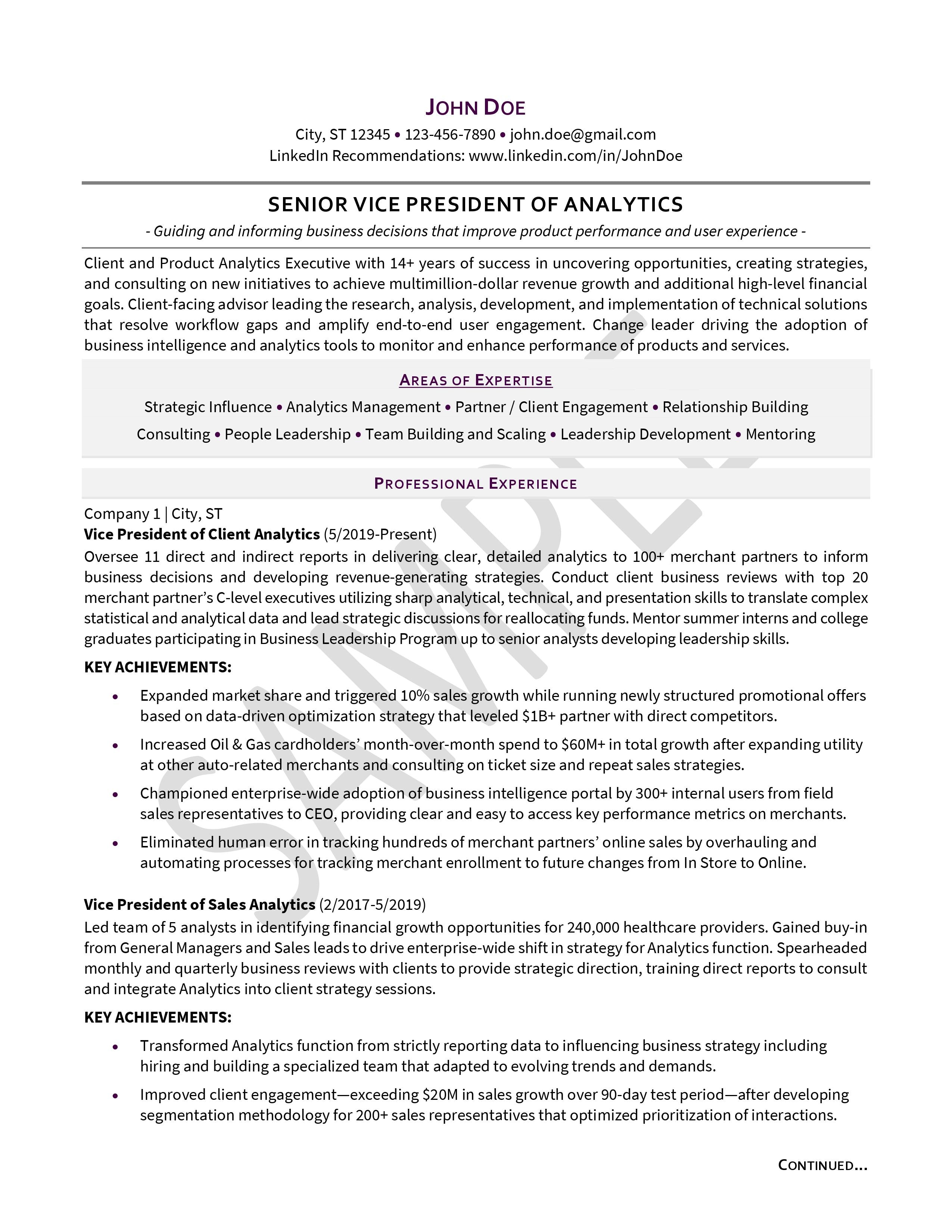 SVP of Analytics Executive Resume Example 